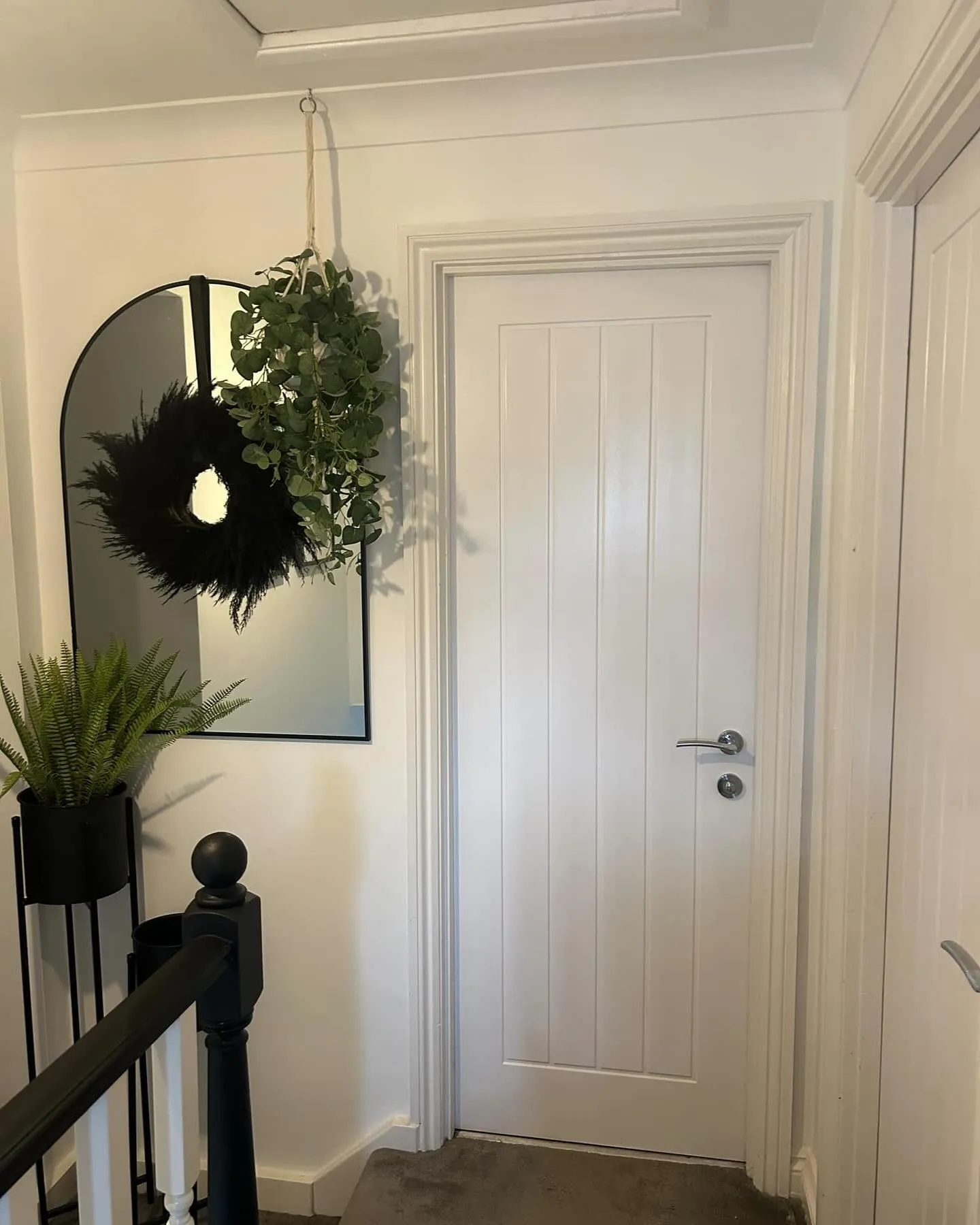 A white door with a mirror and a plant.